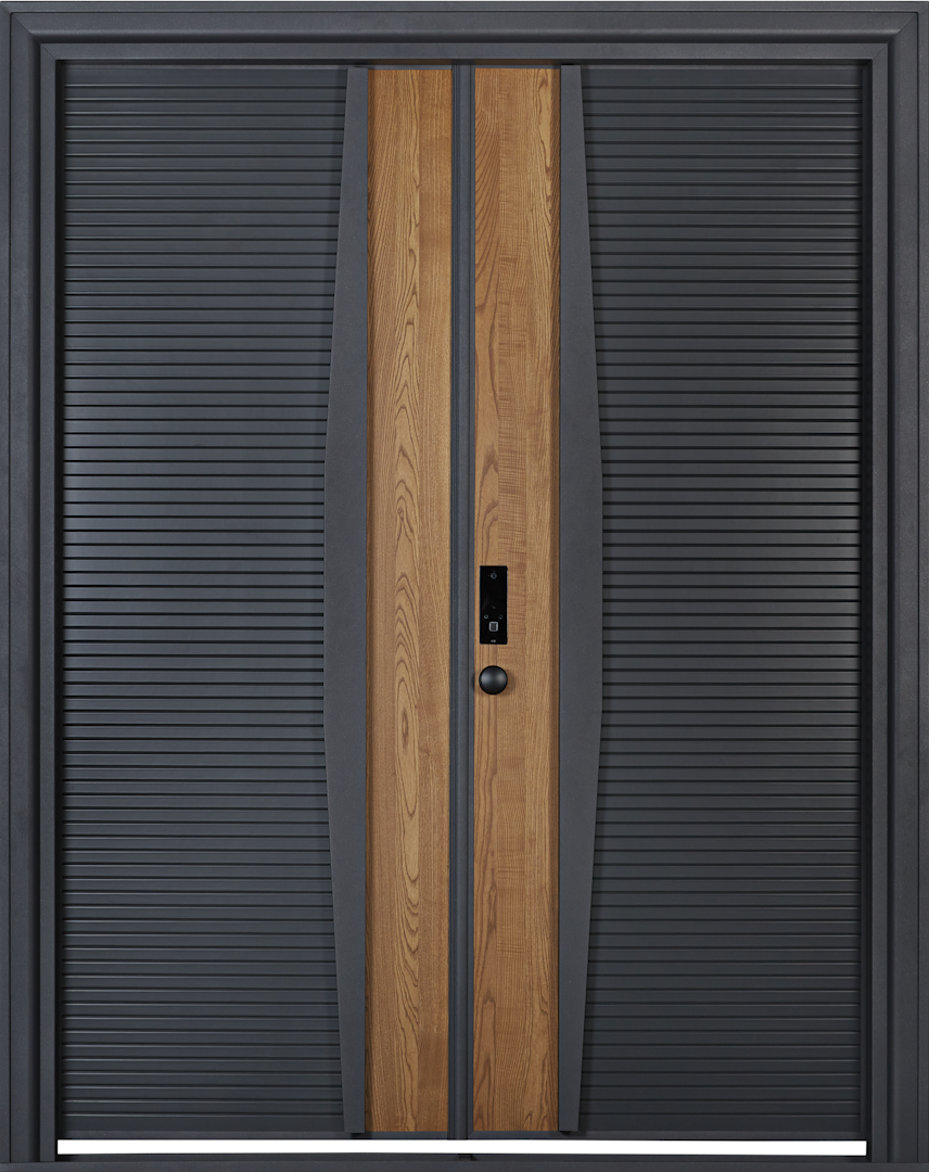Door Design